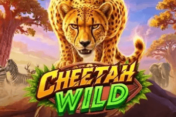 Cheetah Wild